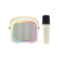 Havit SK818BT Mini Portable Karaoke Bluetooth Microphone Wireless RGB Speaker